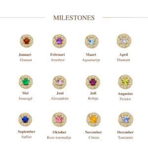 14 karaats goud ring met halo en milestone