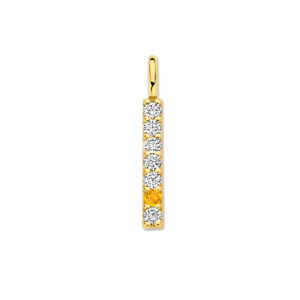 14 karaats gouden diamond bar hanger met milestones.