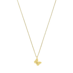 Ontdek de 14 karaats gouden ketting met een vlinderbedel. Een elegant en betekenisvol sieraad, perfect als cadeau of voor jezelf.
