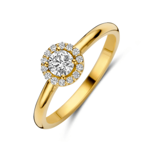 14 karaats goud ring met diamant en halo 0.32 ct